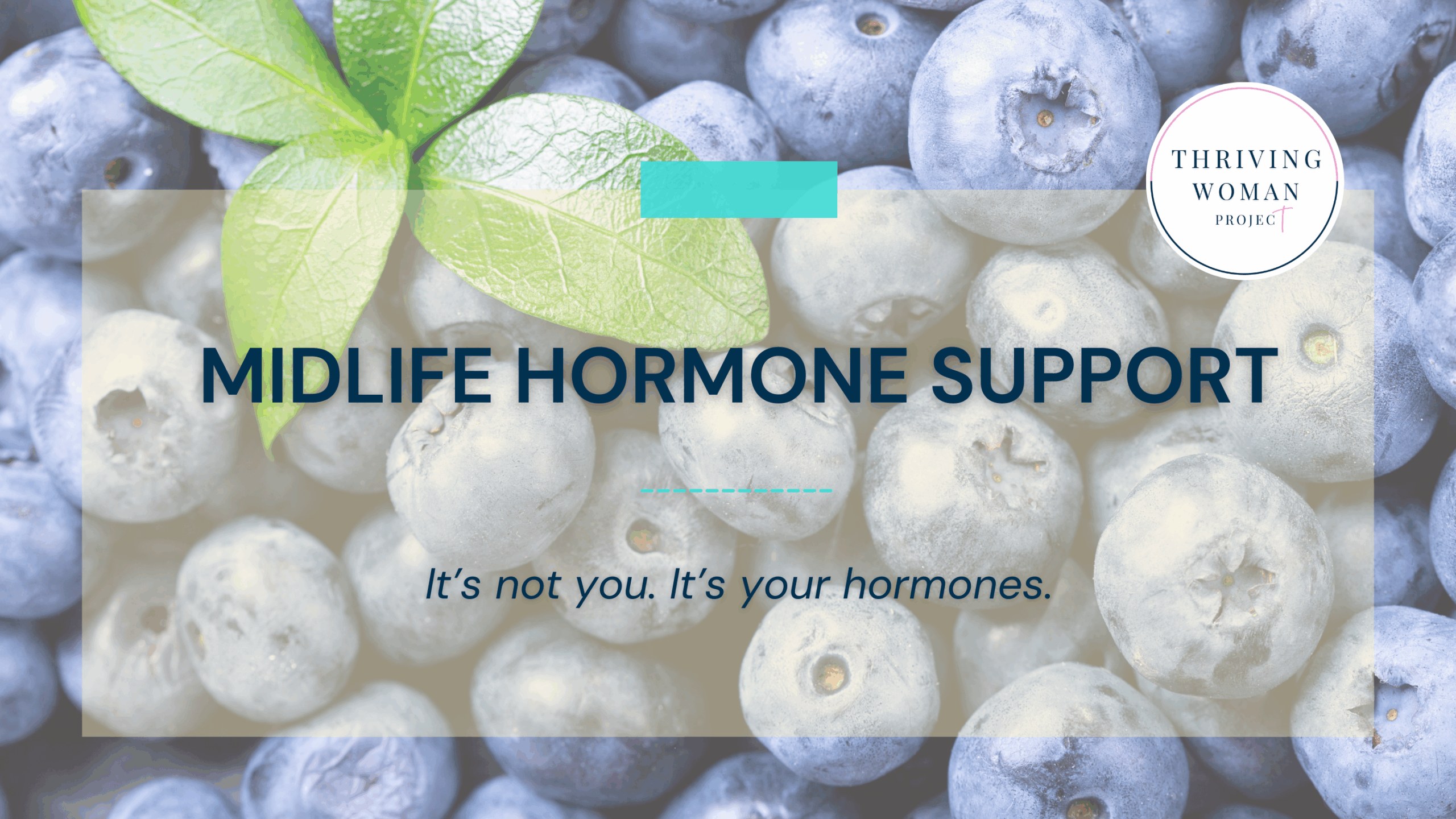 Header image for the Midlife Tea blog by the Thriving Woman Project founded by Wendy Griffith, featuring blueberries and leaves with the text “Midlife Hormone Support – It’s not you. It’s your hormones.” Representing real-life hormone support for midlife women.